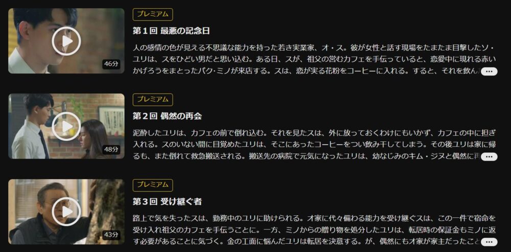 私が恋した男オ･ス　DMM TV　話数